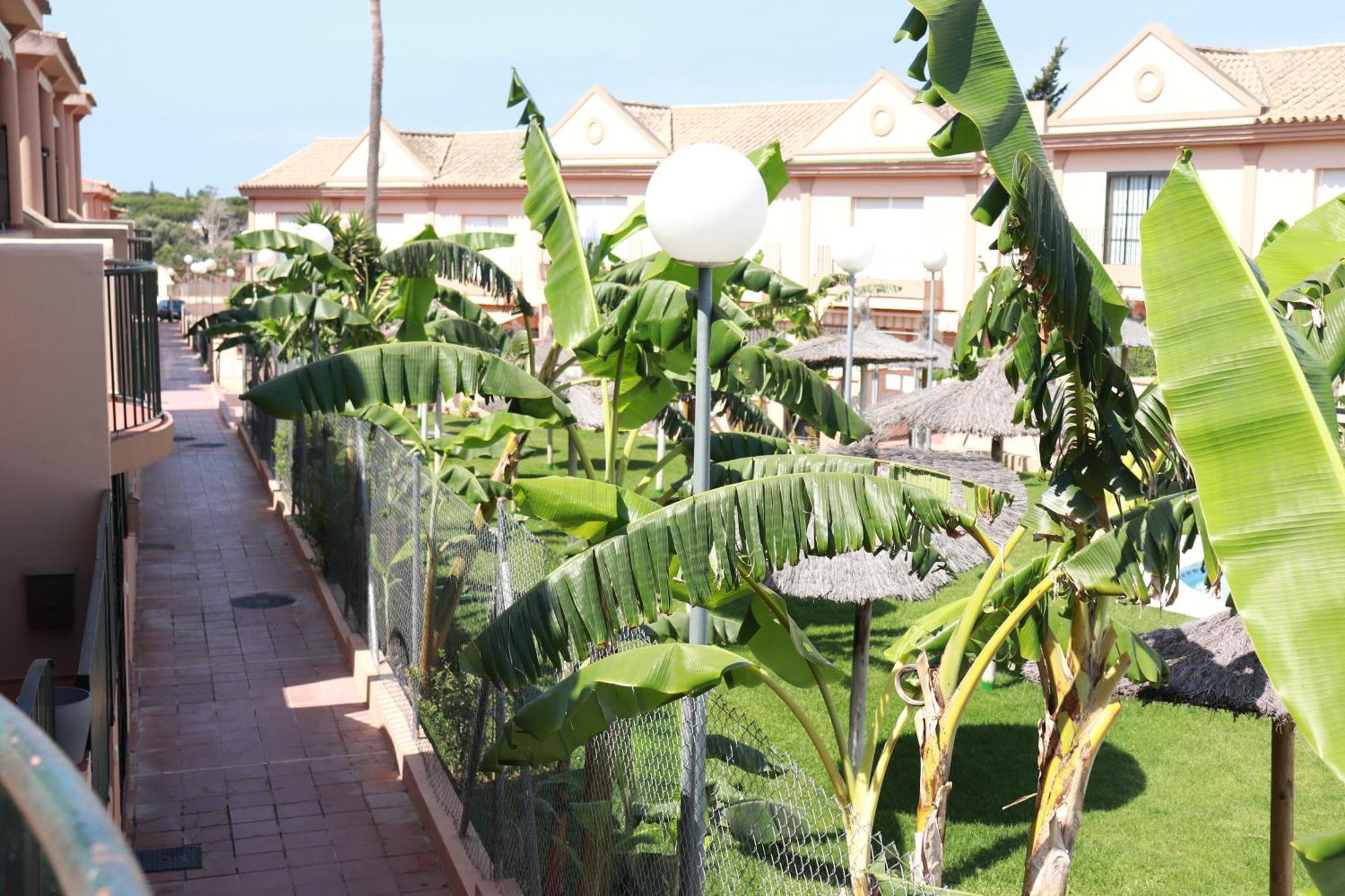 Playa La Barrosa, Alojamientoslola Chiclana de la Frontera Zewnętrze zdjęcie